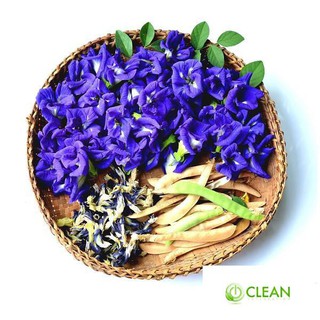 20 hạt giống hoa đậu biếc