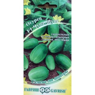 hạt giống dưa chuột mini f1