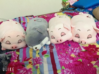 💢💢GỐI KÈM CHĂN HÌNH HEO CUTE💢💢