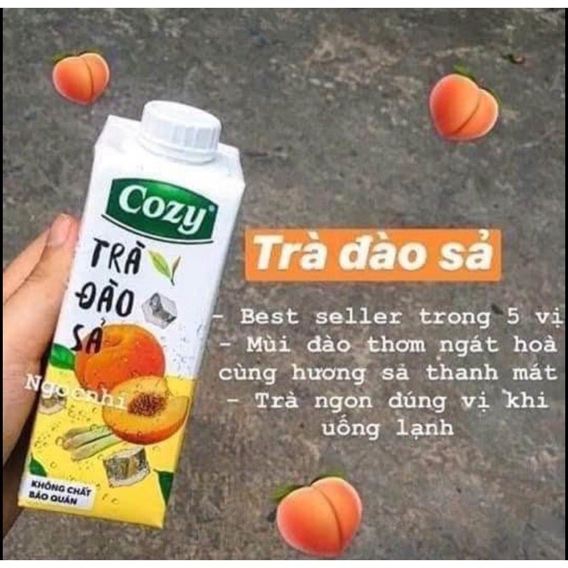 [Freeship Hcm] TRÀ TRÁI CÂY COZY NHIỀU VỊ 225Ml/hộp DATE 20.05.2022 | BigBuy360 - bigbuy360.vn