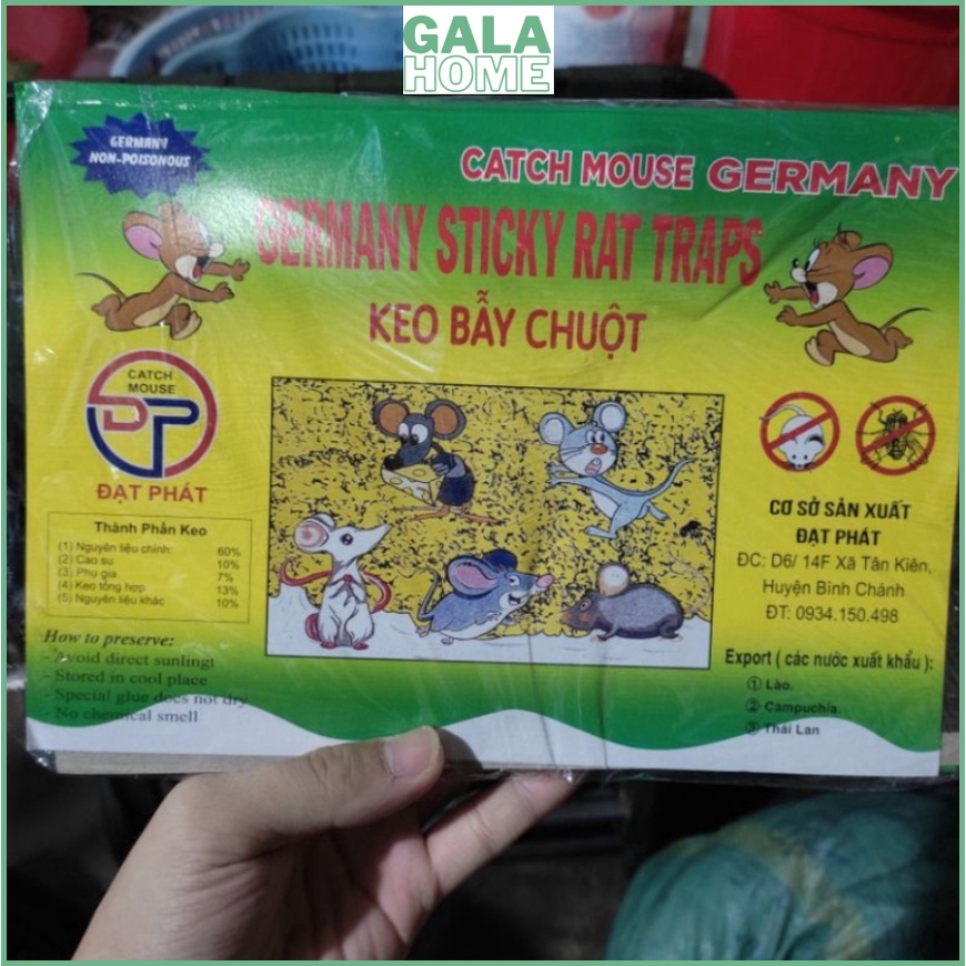 Keo dính chuột Siêu Dính Miếng keo dán chuột GALA HOME