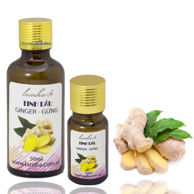 Tinh dầu gừng Lam Hà
