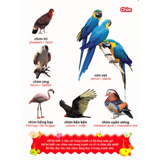Sách: Từ Điển Tranh Về Các Con Vật - Động Vật (Bìa Cứng B100)