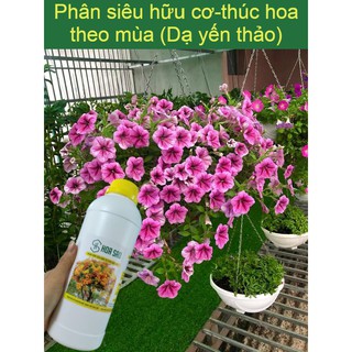 Phân Bón Hữu Cơ Cho Hoa Giấy