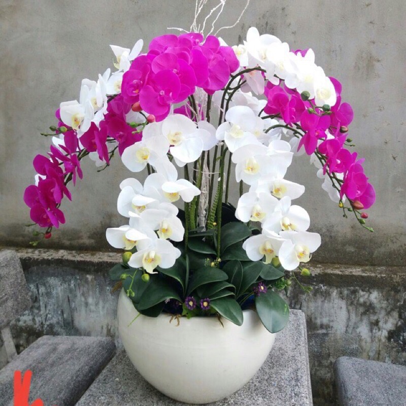 Cành hoa lan hồ điệp cao su 9 bông LOẠI SỊN, hàng đẹp và sẵn kho