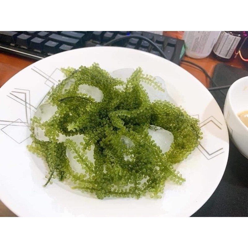 1 Gói lẻ rong nho Sabudo Nhật bản tặng kèm sốt mè rang hót nhất hiện nay | BigBuy360 - bigbuy360.vn