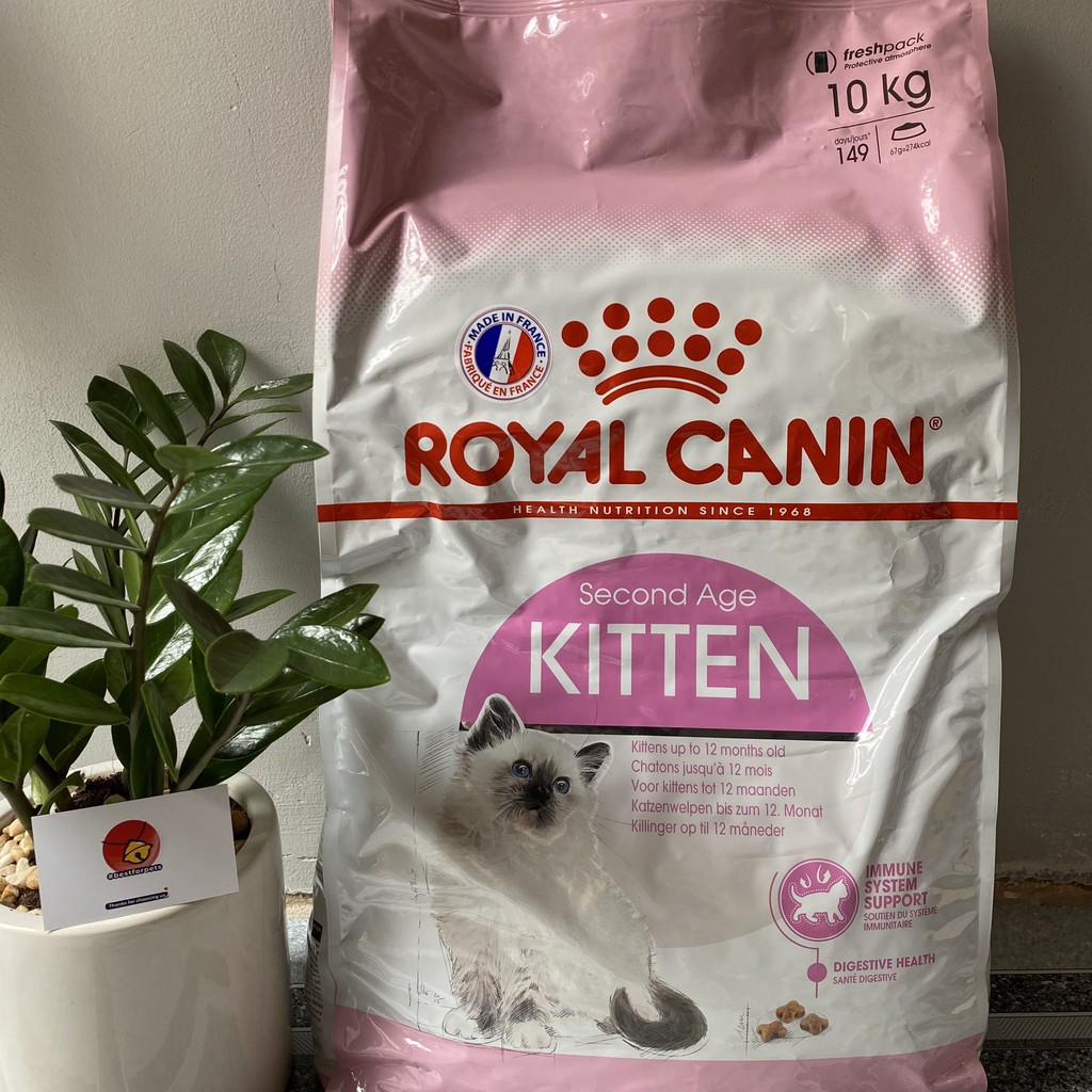 Hạt Royal Canin Kitten - Bao 10kg chính hãng Pháp