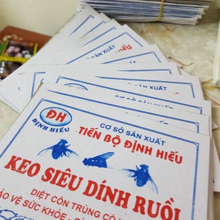 10 vỉ bẫy ruồi