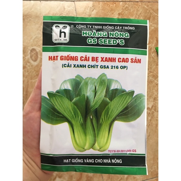 Hạt giống cải bẹ xanh cao sản (Cải xanh chít)