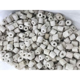 Sứ nhẫn trắng