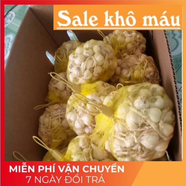 (bằng sỉ)1KG Tỏi Lý Sơn chính gốc 100% loại 1