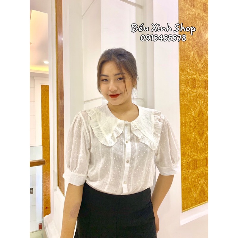 ÁO CỔ ĐIỆU BIGSIZE