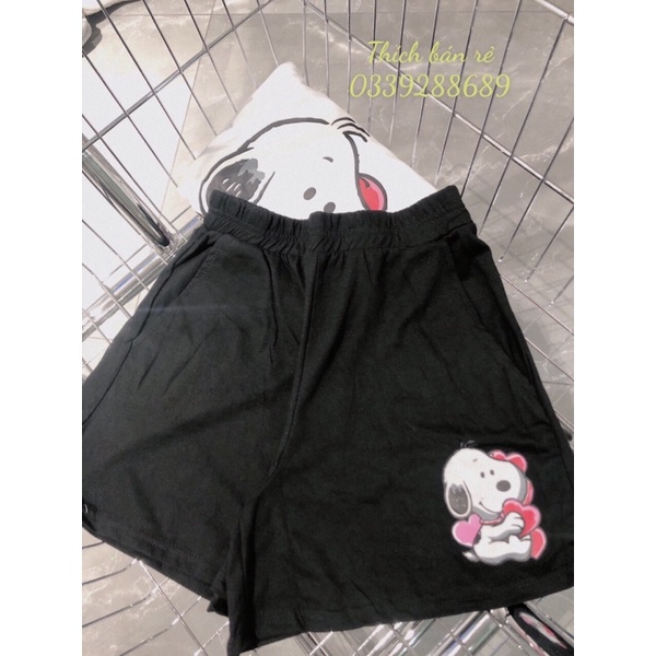 SET CÚN ĐÙI ĐÁNG YÊU HÀNG NHẬP KÈM HÌNH THẬT