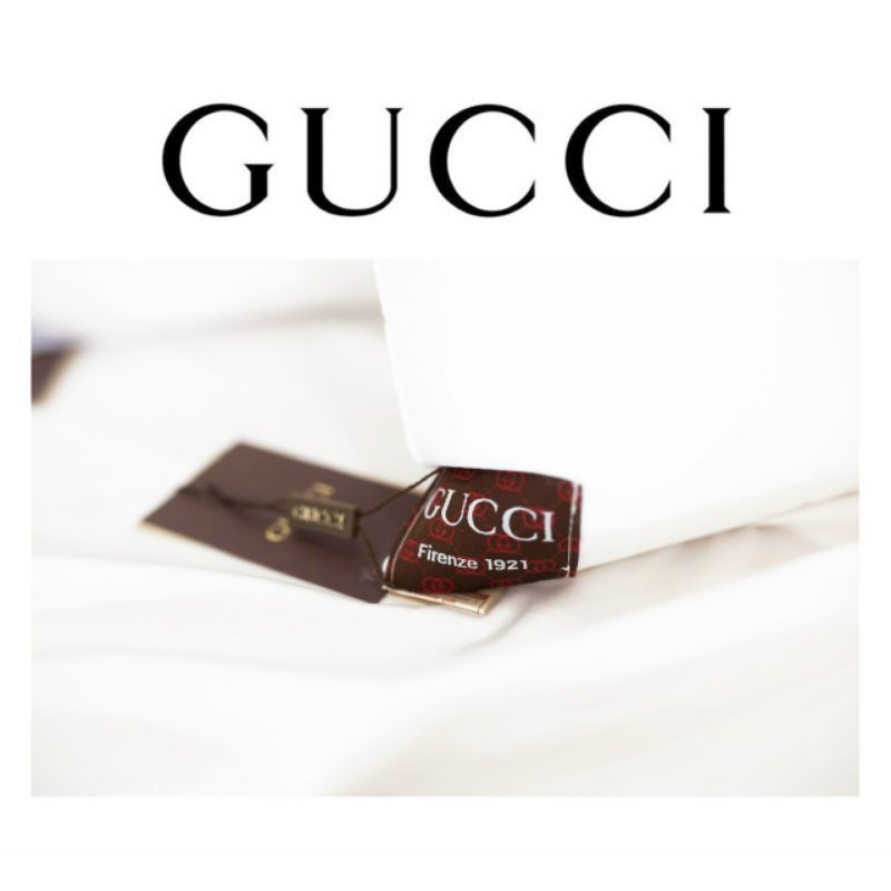 2 Ruột Gối Ong Thêu. Ruột Gối 50x70 cm