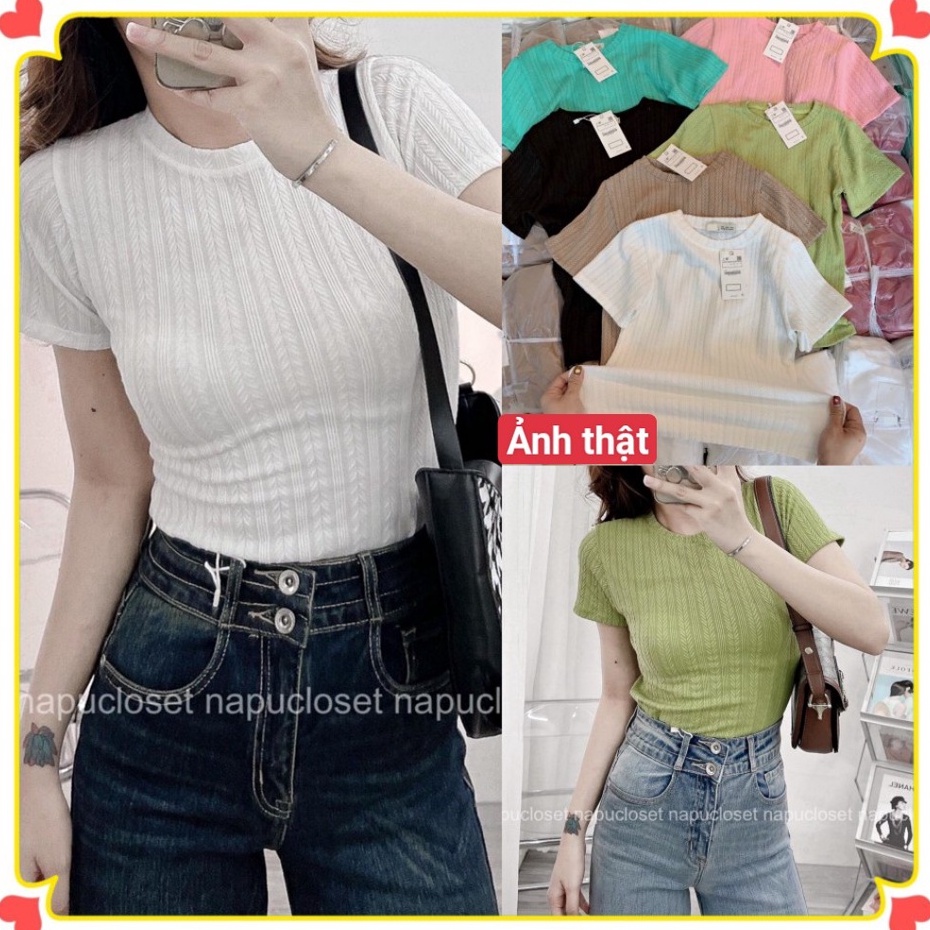 Áo thun ôm tay ngắn cổ tròn - KÈM VIDEO CẬN CHẤT - chất len gân xịn, dày mềm co dãn tốt