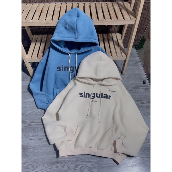 Áo nỉ hoodies mũ 2 lớp in chữ hàng đẹp