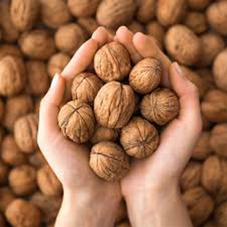 Hạt Óc chó Mỹ Diamond Jumbo Walnuts 453g (tặng kèm đồ tách vỏ)