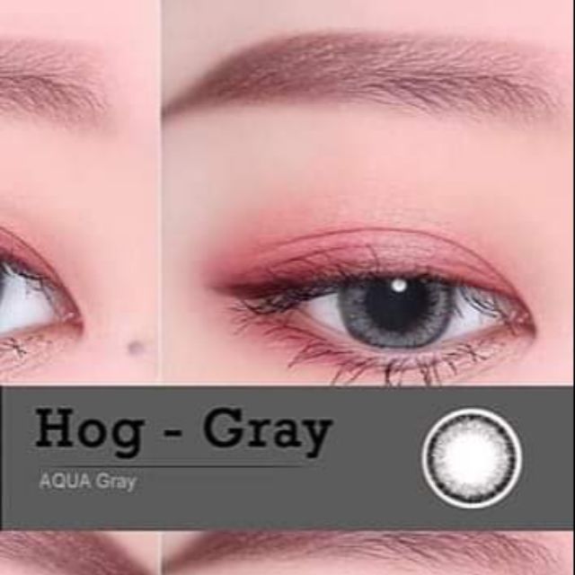 Lens HogAqua Gray - Kính áp tròng hàn quốc chính hãng