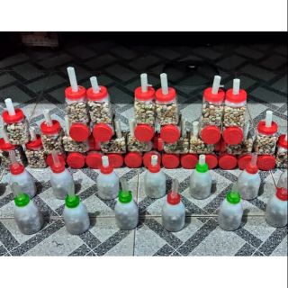 Lọc bio cá guppy 7màu