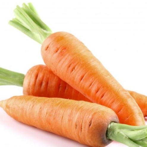 Hạt giống cà rốt dài F1 - Củ cải đỏ gói 5gr/100hạt
