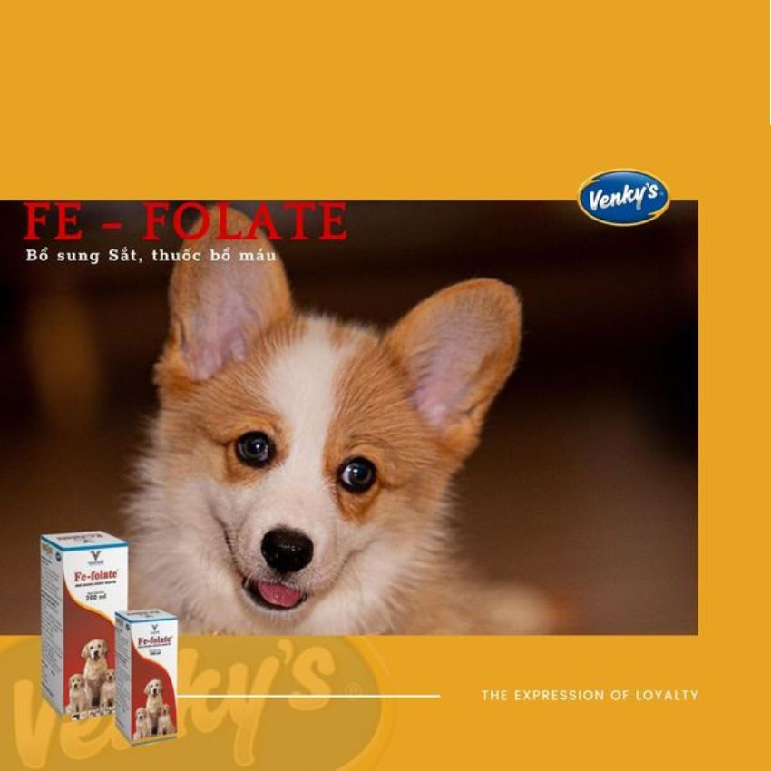 Bổ máu Fe-Folate bổ sung cho chó mèo Sắt, axit Folic, Vitamin B12 hàng nhập khẩu