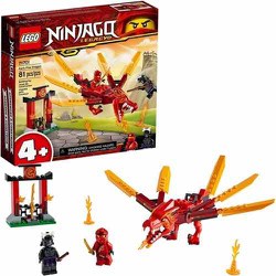 Lego Ninjago PRCK001