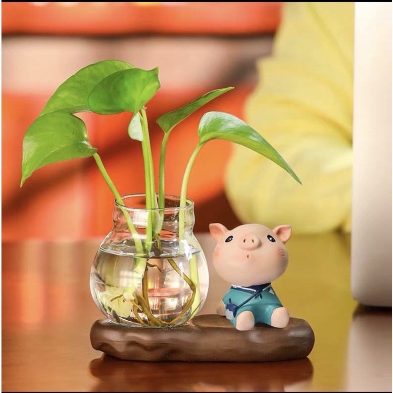 Chậu trồng cây thủy sinh mini, chậu thủy tinh để bàn