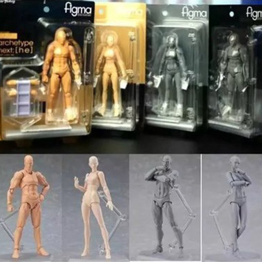 Mô hình cơ thể người nam và nữ 2.0 có thể tùy chỉnh chuyển động tiện lợi 13cm