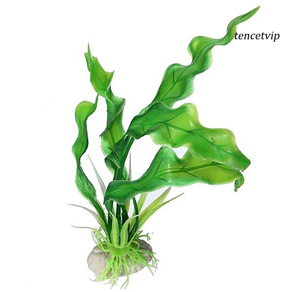 Cỏ Nhân Tạo Trang Trí Bể Cá
