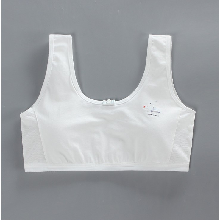 Bra / Áo Lá Học Sinh Hai Lớp Cotton Xuất Hàn ( AL : 177 ) Hàng Loại Đẹp.