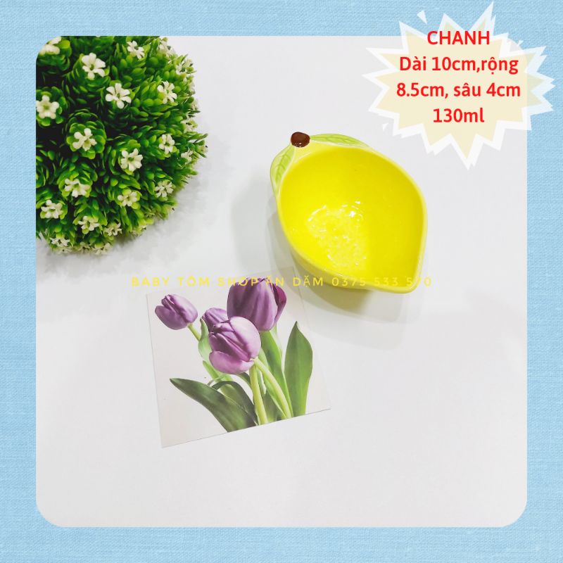 Bát ăn dặm gốm sứ hình Củ Quả dung tích 50ml - 130ml cho bé(BÁT BÉ), Baby Tôm