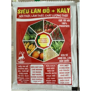 Siêu lân đỏ đậm đặc- cây khoẻ ra rễ