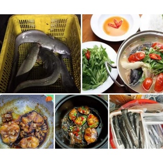 📌Cá ngát mần sạch🐟🐟500g