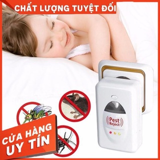 Máy đuổi côn trùng Pest Reject