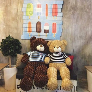 Gấu teddy 1m