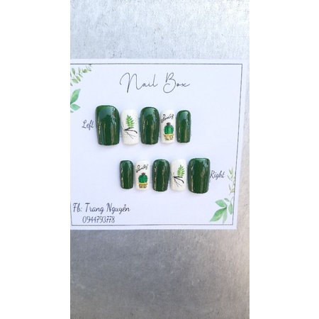 nails  box