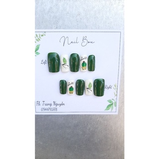 nails  box