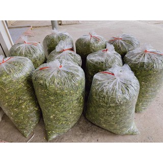 100gr Lá Nếp (Lá Dứa) Thơm Khô , sạch sẽ.