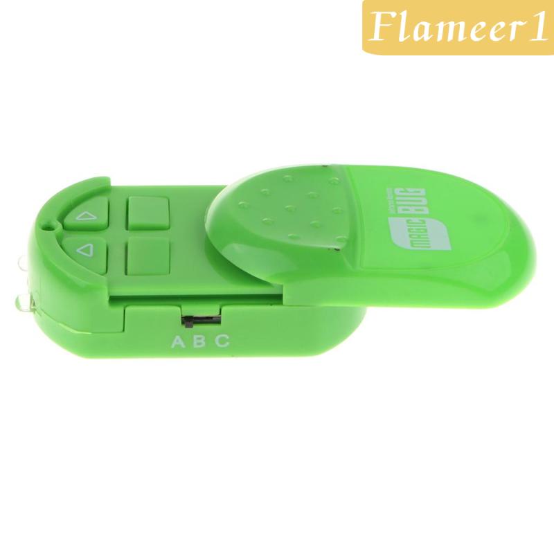 Sâu Bướm Đồ Chơi Điều Khiển Từ Xa 4 &quot;Flameameer1