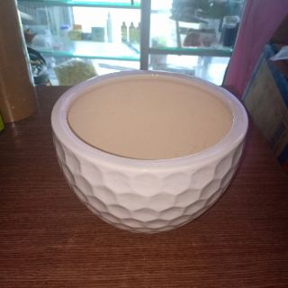 Chậu Sứ Trắng Trồng Cây - Mã C1, C2