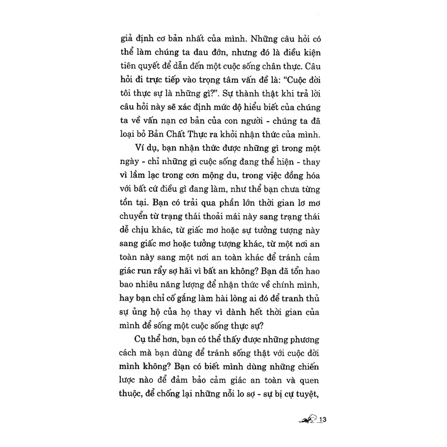 Sách - Cư Ngụ Trong Bùn Nước (Ezra Bayda - Văn Lang)