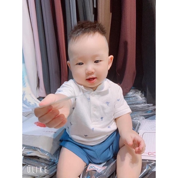 Sét 3 áo polo Hm cho bé