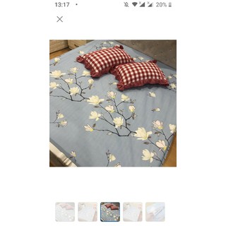 Ga chống thấm 100% cotton