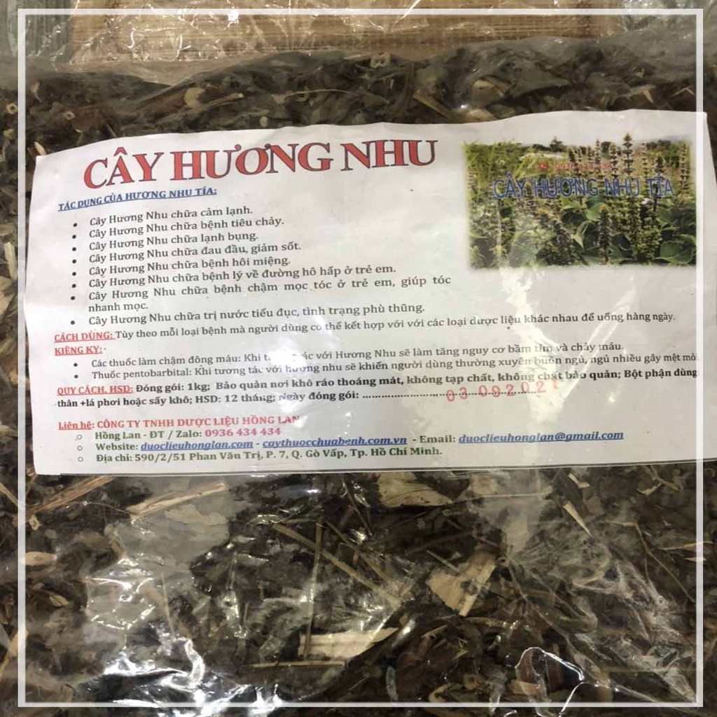 Thảo dược CÂY HƯƠNG NHU TÍA khô sạch đóng gói 500gram - congtyduoclieuhonglan