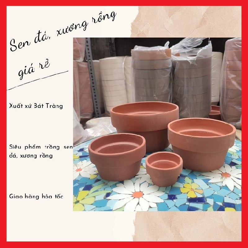 Chậu đất nung thấp màu nâu 🔥FREE SHIP🔥 Xuất xứ Bát Tràng, siêu phẩm trồng sen đá, xương rồng