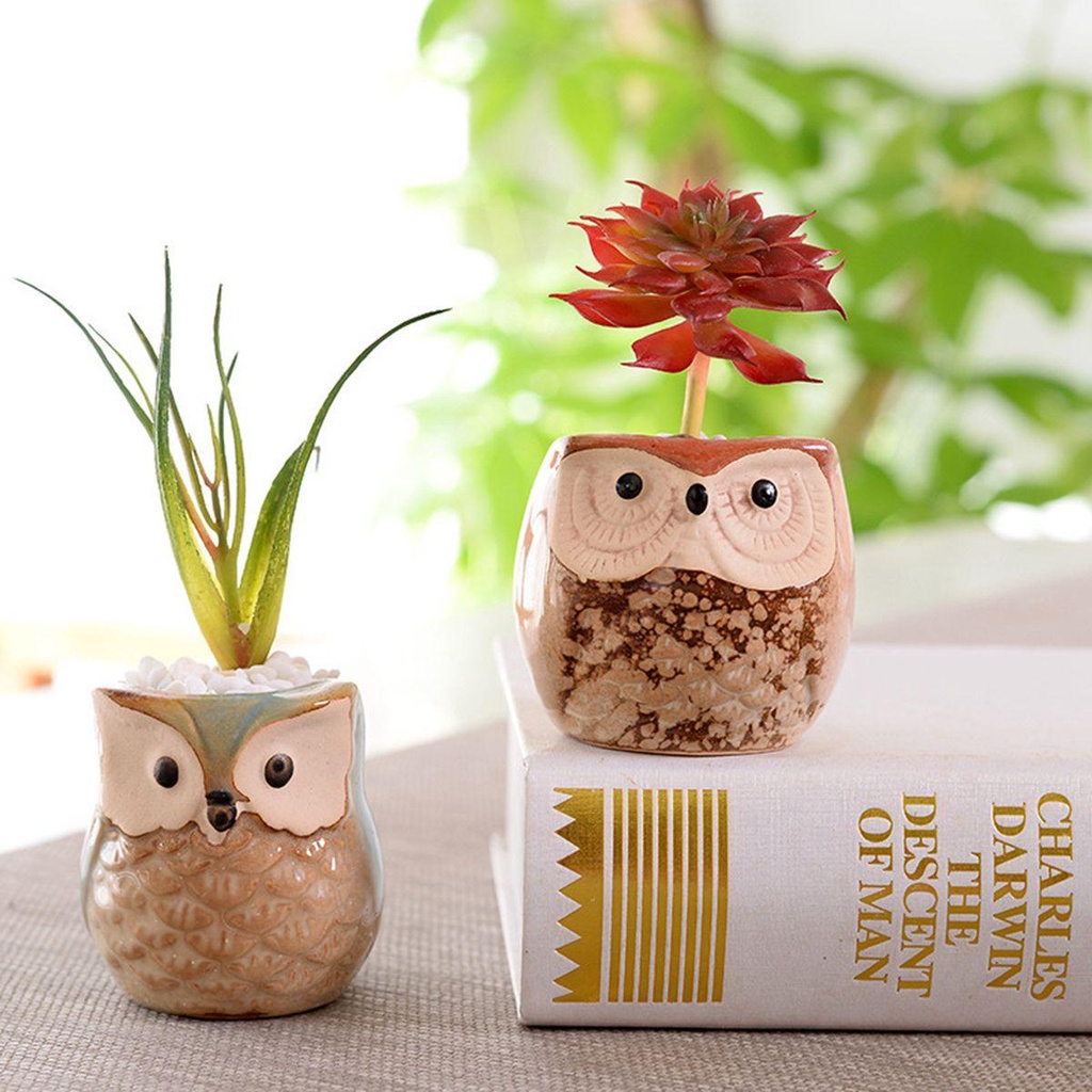 Chậu Hoa Bằng Gốm Kèm Khay Tre Dễ Thương