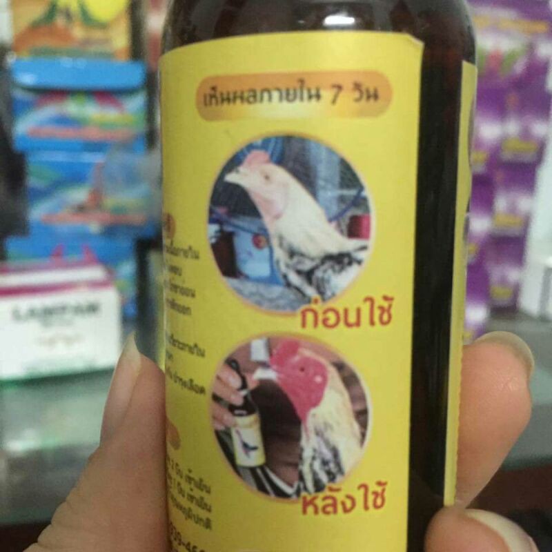 Thuốc ốm trong cho gà chọi