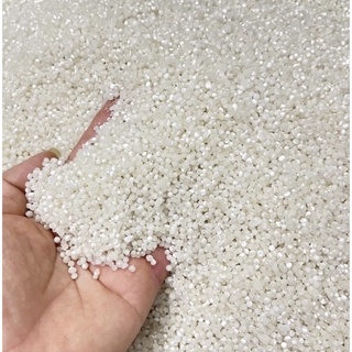 500g bột báng nấu chè