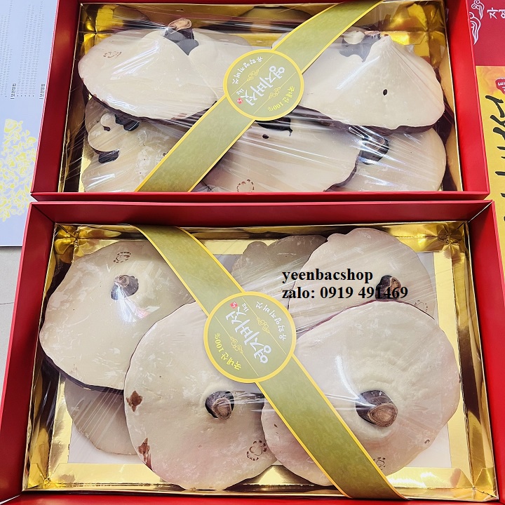 NẤM LINH CHI HÀN QUỐC HỘP QUÀ CÔ GÁI 1KG