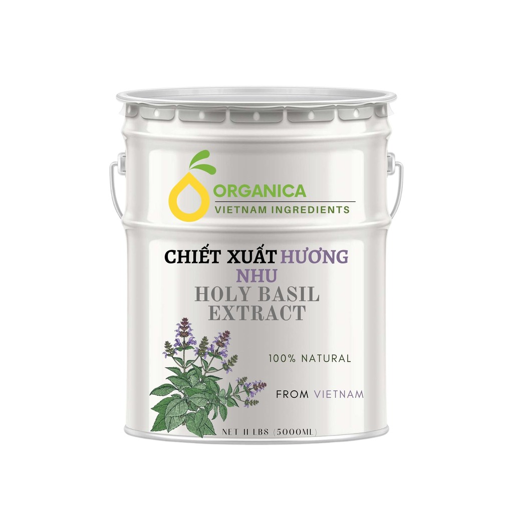 Chiết xuất hương nhu (Ocimum gratissimum extract) - Chiết xuất thiên nhiên (Natural Extract)